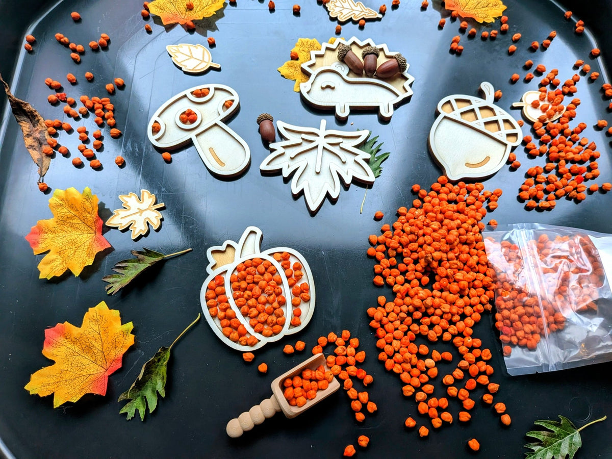 Cosy - Tuff Tray Herfst (70cm) – Sensorisch Speelpakket - Playlaan