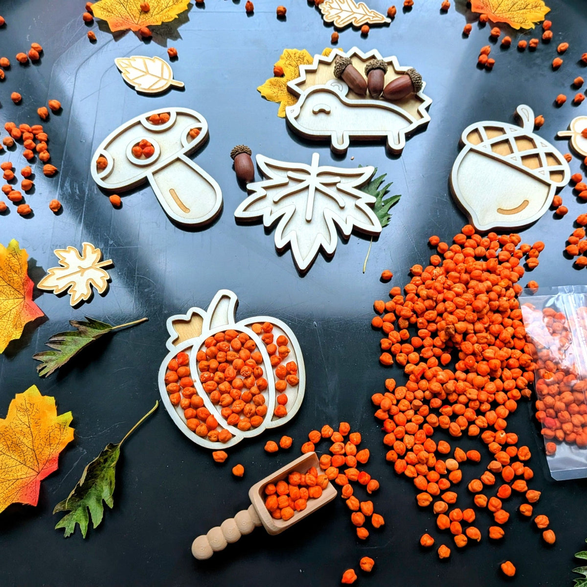Cosy - Tuff Tray Herfst (70cm) – Sensorisch Speelpakket - Playlaan