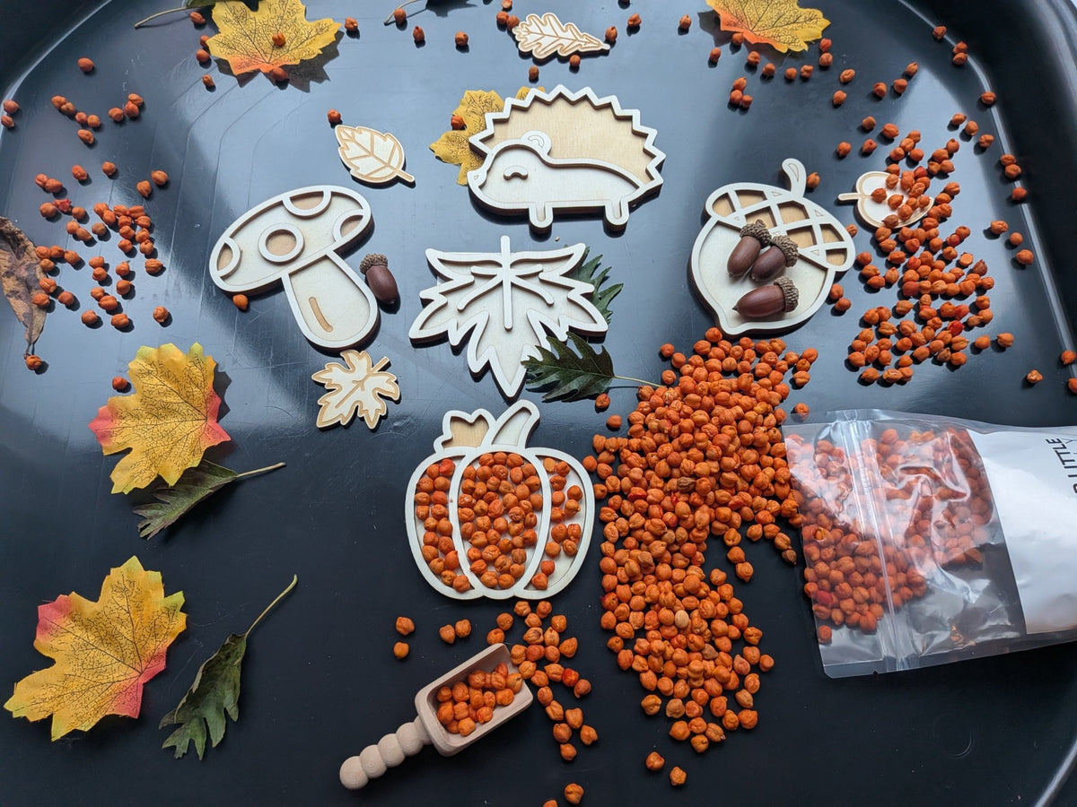 Cosy - Tuff Tray Herfst (70cm) – Sensorisch Speelpakket - Playlaan