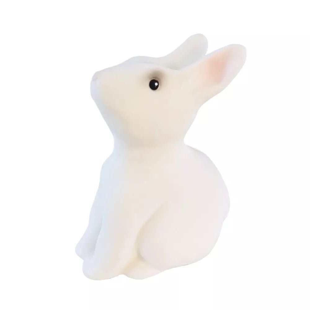 Egmont Toys - Egmont Toys - Spaarpot Konijn Deco - Playlaan
