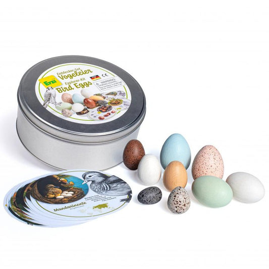 Erzi - Erzi - Vogeleieren onderzoekset met activiteitenkaarten - Playlaan