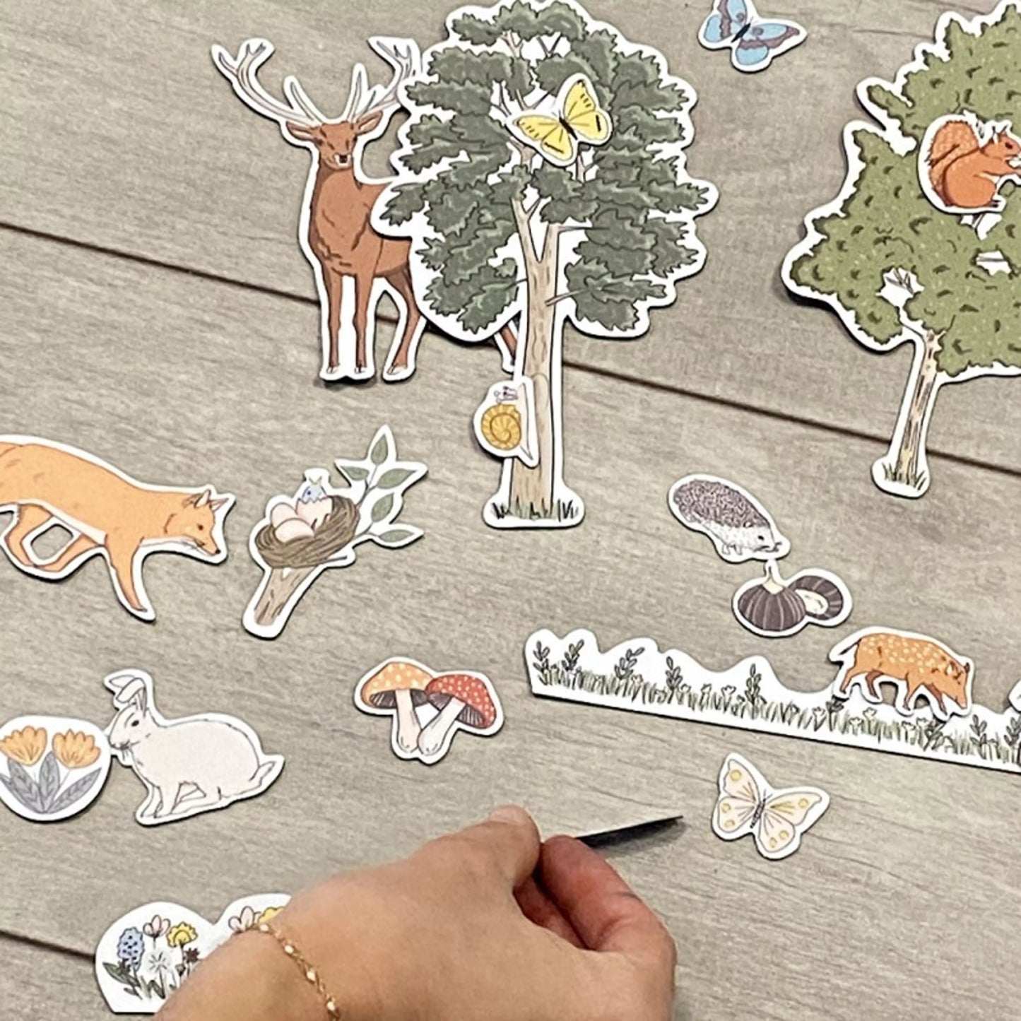 Ferflex - Ferflex - Magneten set - In het Bos - Playlaan