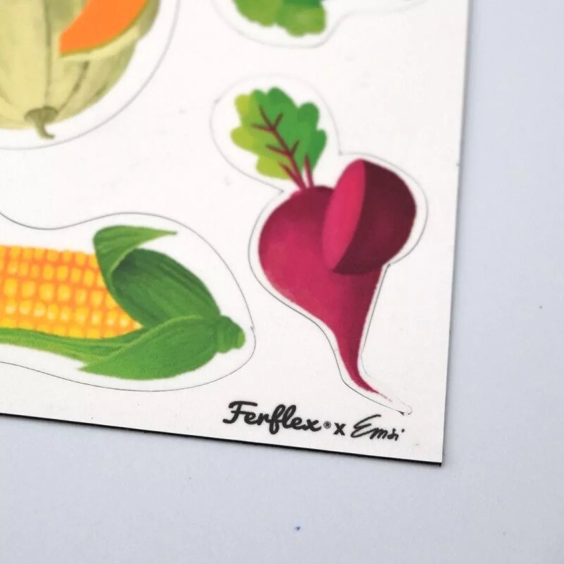 Ferflex - Ferflex - Magnetisch spel - fruit en groenten (Engelse versie) - Playlaan