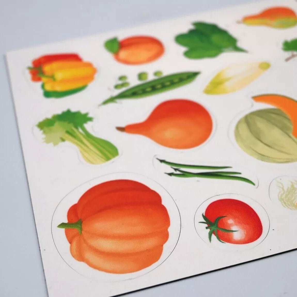 Ferflex - Ferflex - Magnetisch spel - fruit en groenten (Engelse versie) - Playlaan