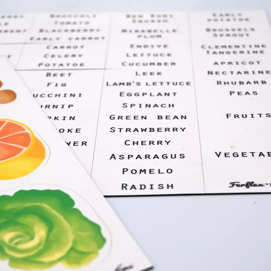 Ferflex - Ferflex - Magnetisch spel - fruit en groenten (Engelse versie) - Playlaan