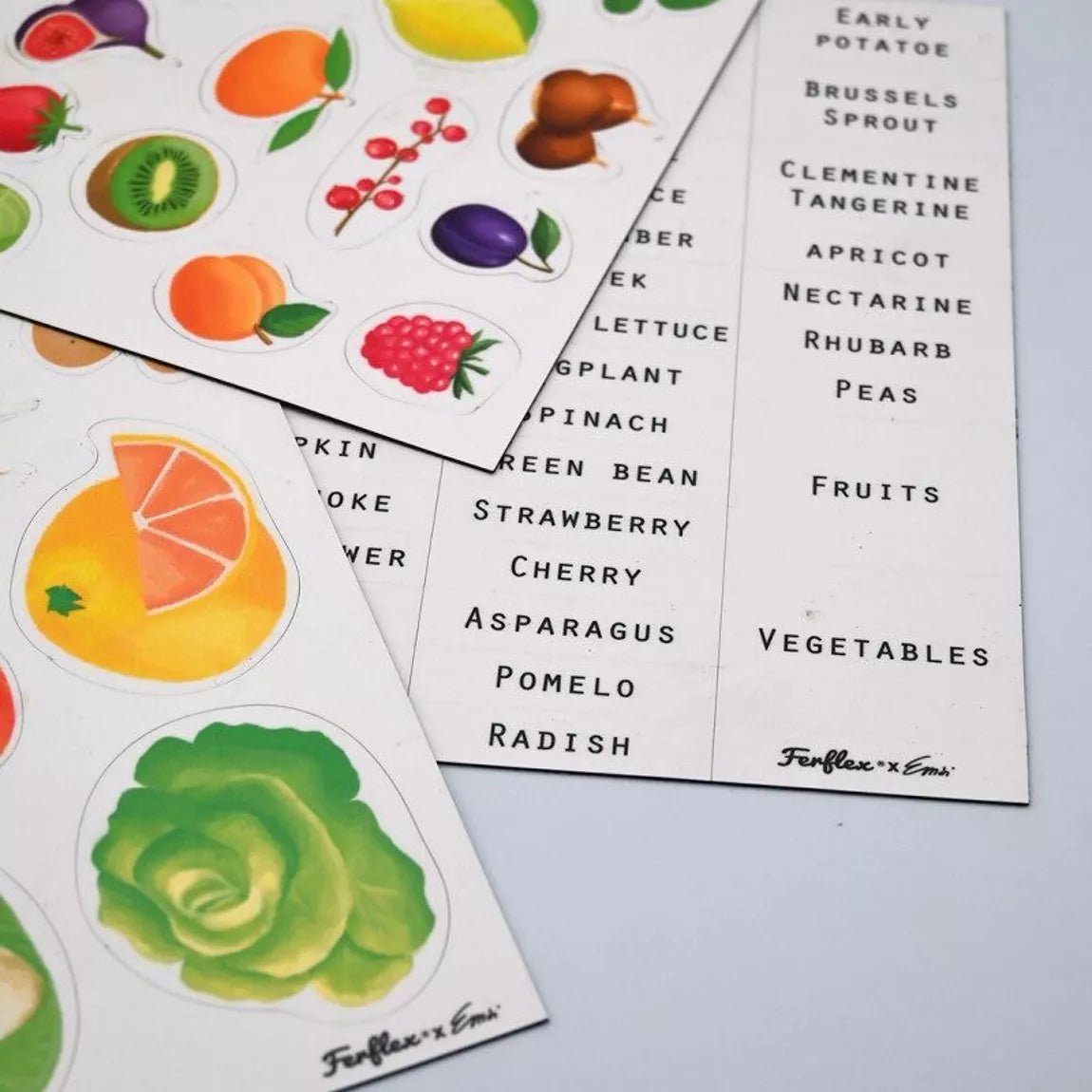 Ferflex - Ferflex - Magnetisch spel - fruit en groenten (Engelse versie) - Playlaan