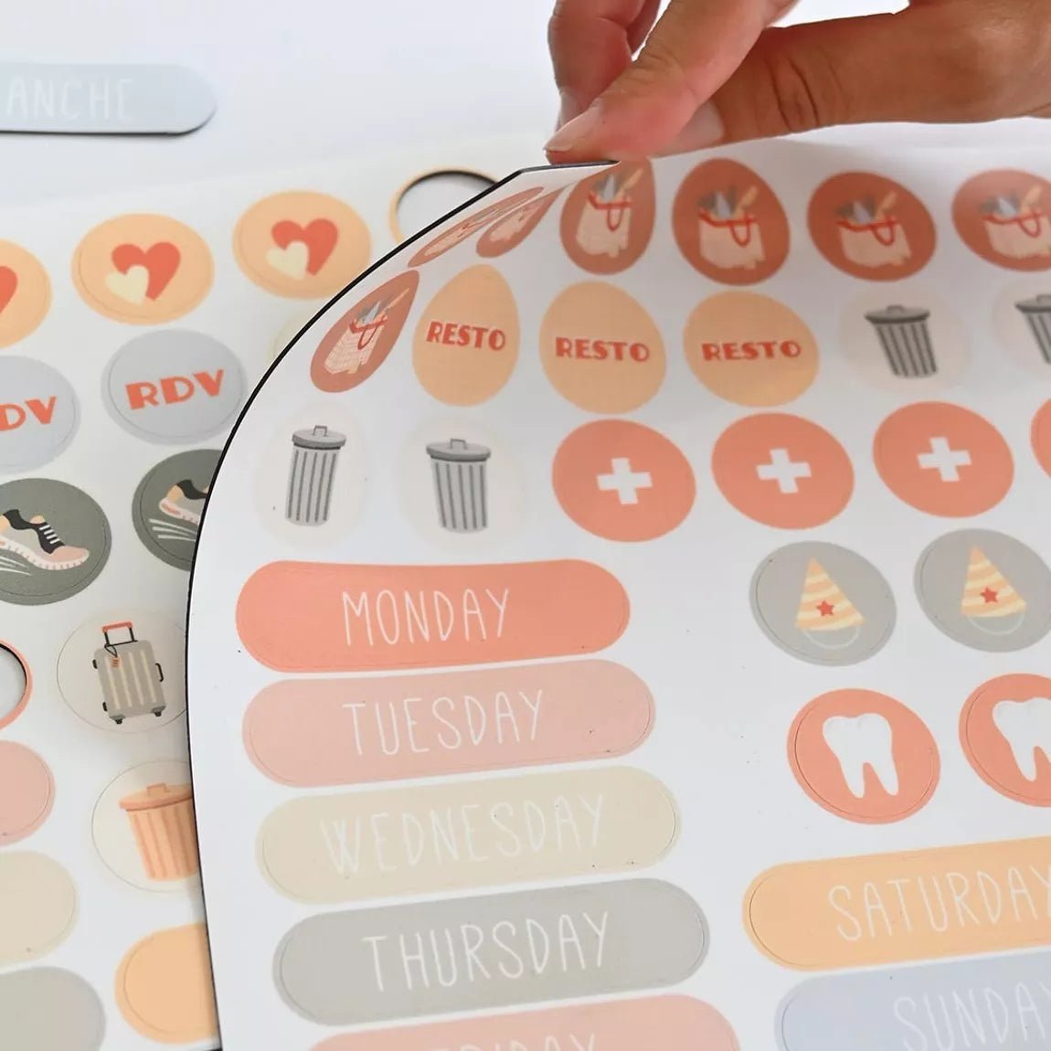 Ferflex - Ferflex - Magnetische maandkalender voor aan de muur (ENG, FR) - De familiekalender - Playlaan