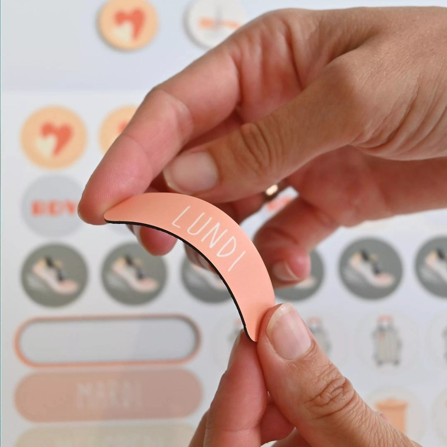 Ferflex - Ferflex - Magnetische maandkalender voor aan de muur (ENG, FR) - De familiekalender - Playlaan