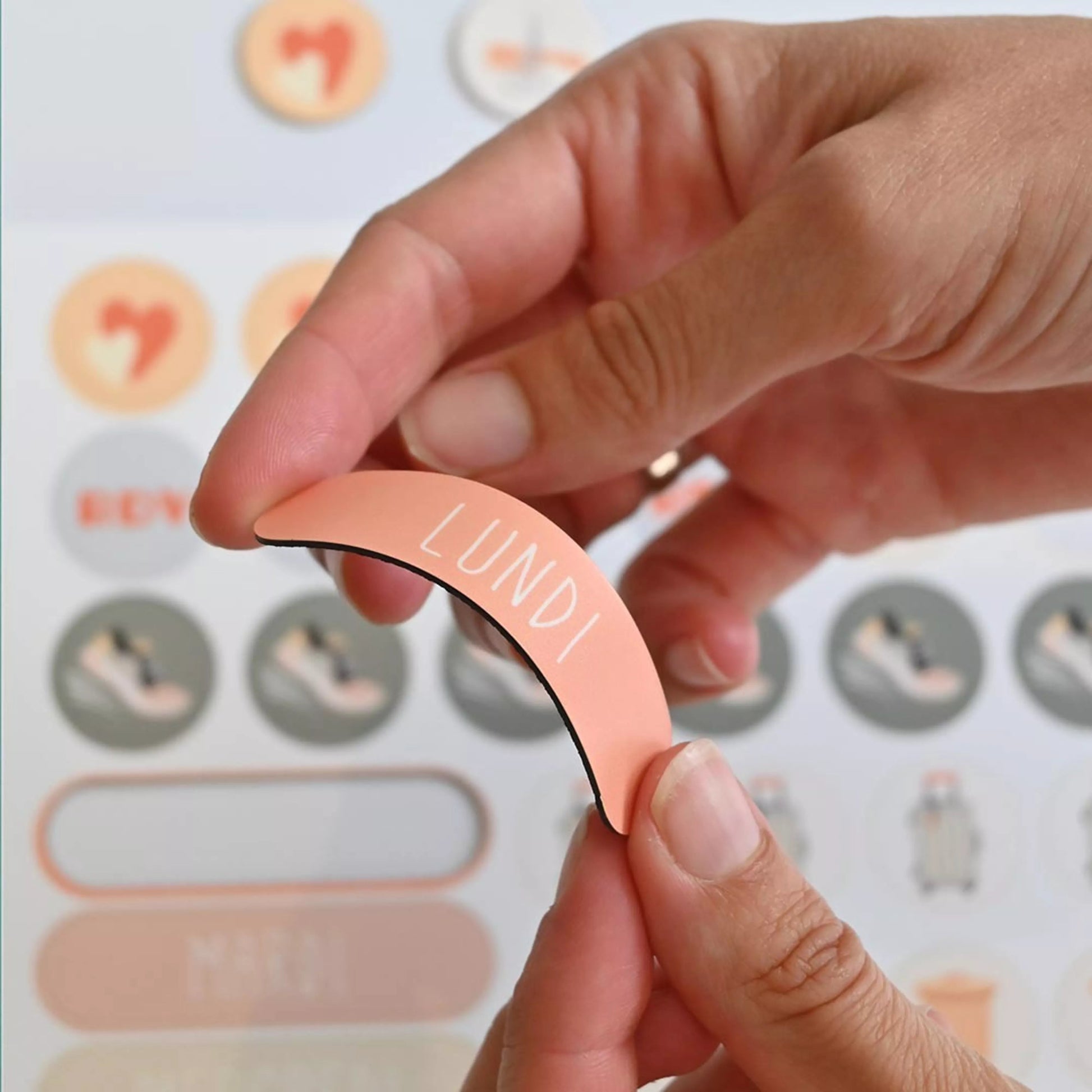 Ferflex - Ferflex - Magnetische maandkalender voor aan de muur (ENG, FR) - De familiekalender - Playlaan