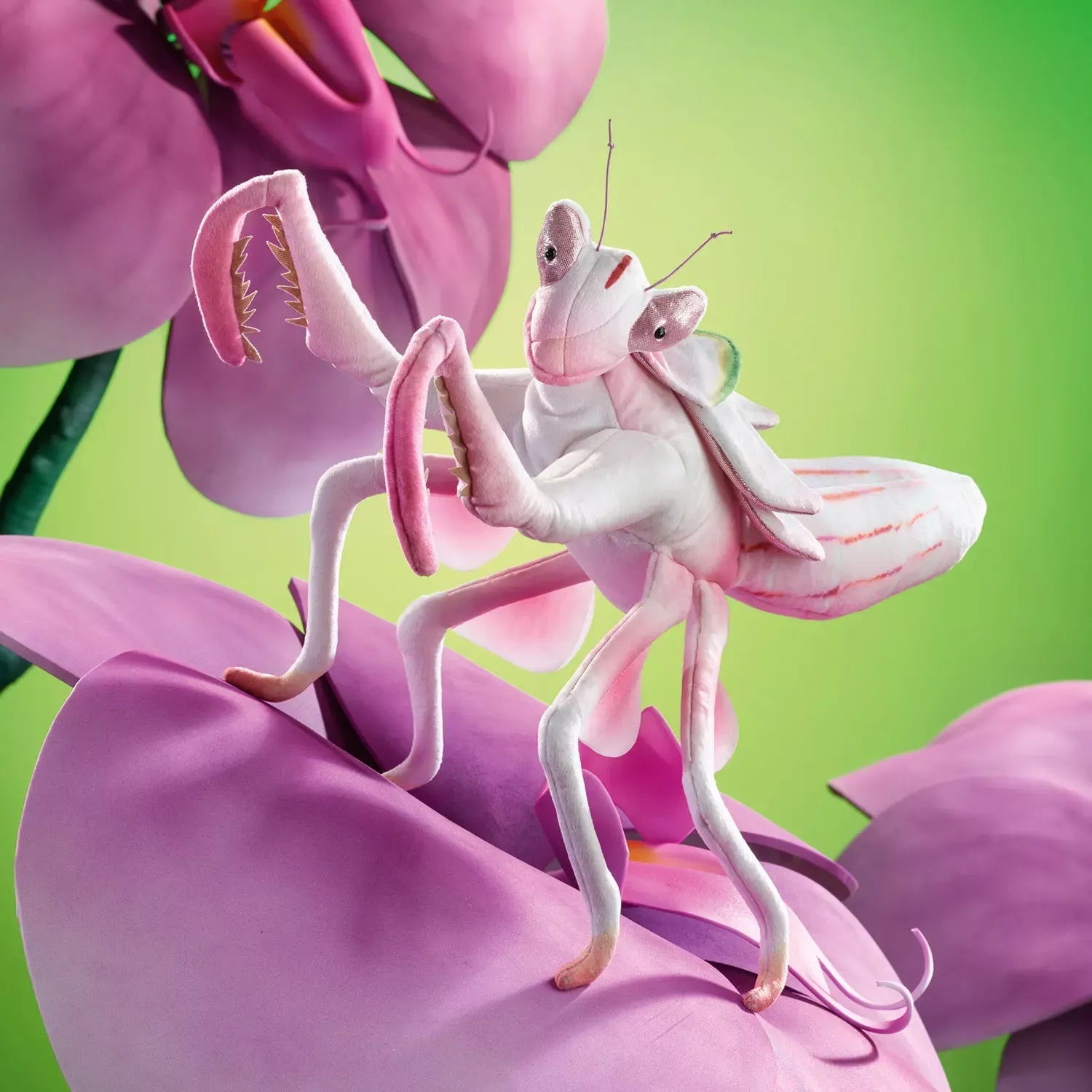Folkmanis - Folkmanis - Handpop Orchid Mantis - Playlaan
