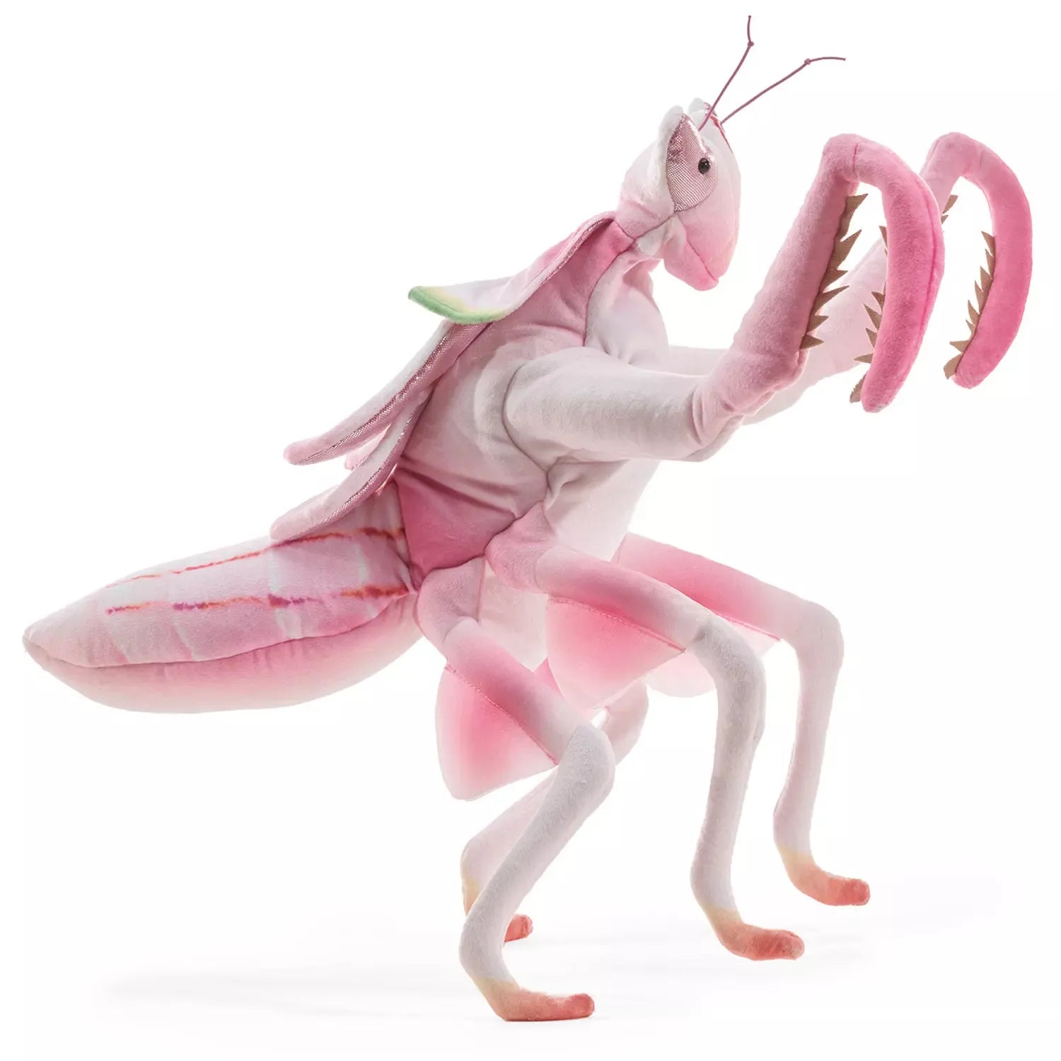Folkmanis - Folkmanis - Handpop Orchid Mantis - Playlaan