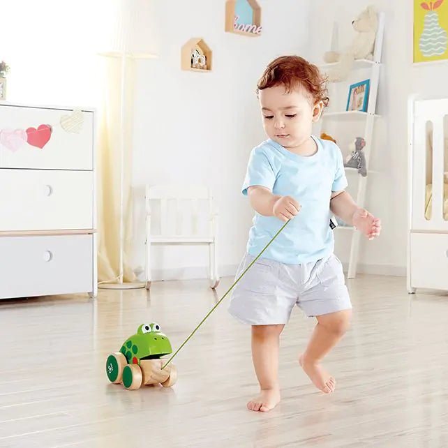 Hape - Hape - Kikker trekdier - Playlaan
