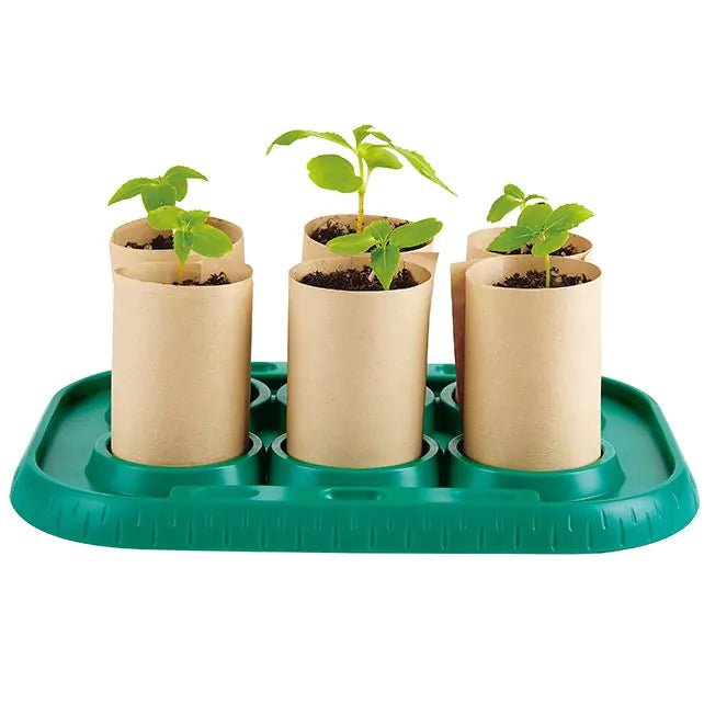 Hape - Hape - Kweek je eigen tuin - Playlaan