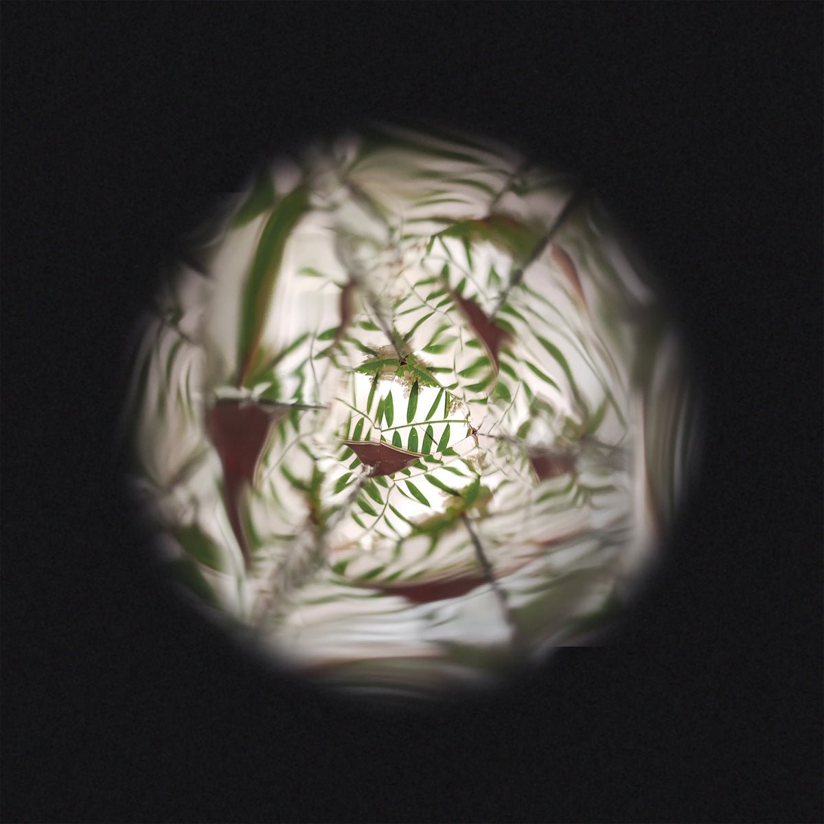 Janod - Janod - Houten Kaleidoscoop Happy Garden - Playlaan