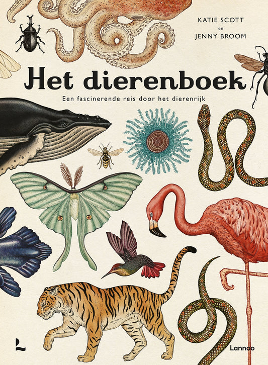 Lannoo - Het dierenboek - Een fascinerende reis door het dierenrijk - Playlaan