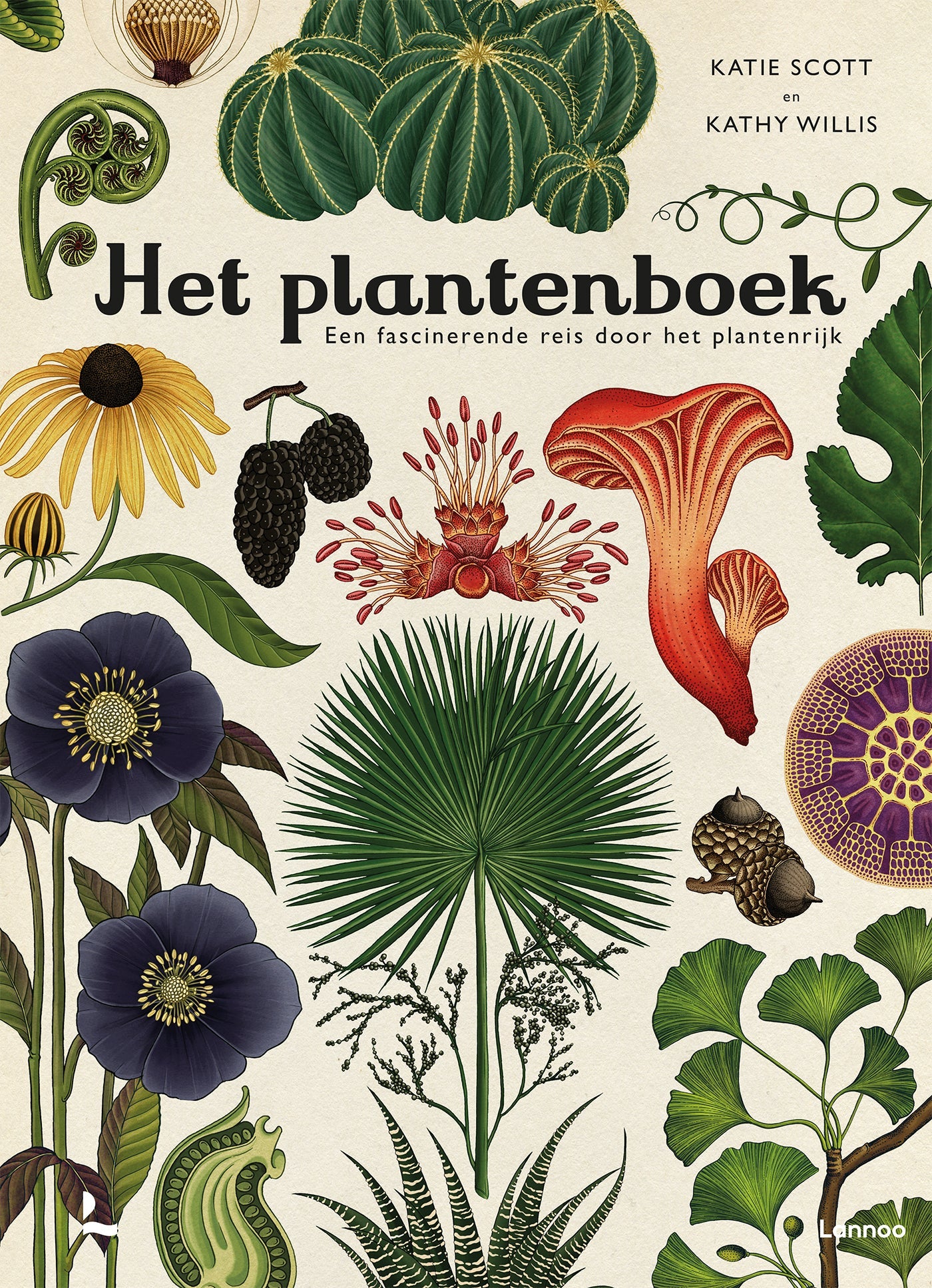 Lannoo - Het plantenboek - Een fascinerende reis door het plantenrijk - Playlaan