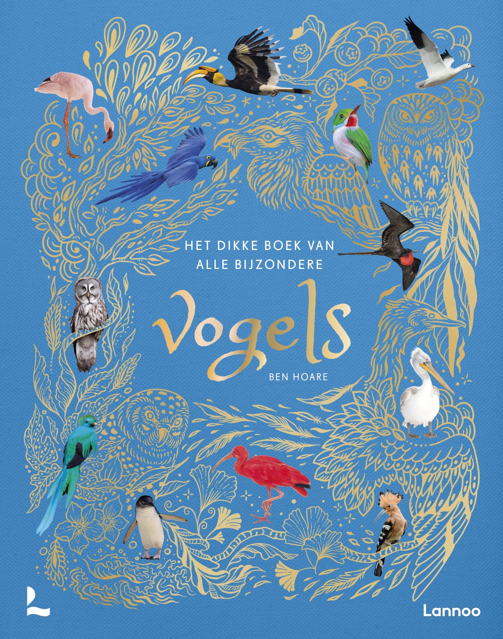 Lannoo - Lannoo - Het dikke boek van alle bijzondere vogels Ben Hoare - Playlaan
