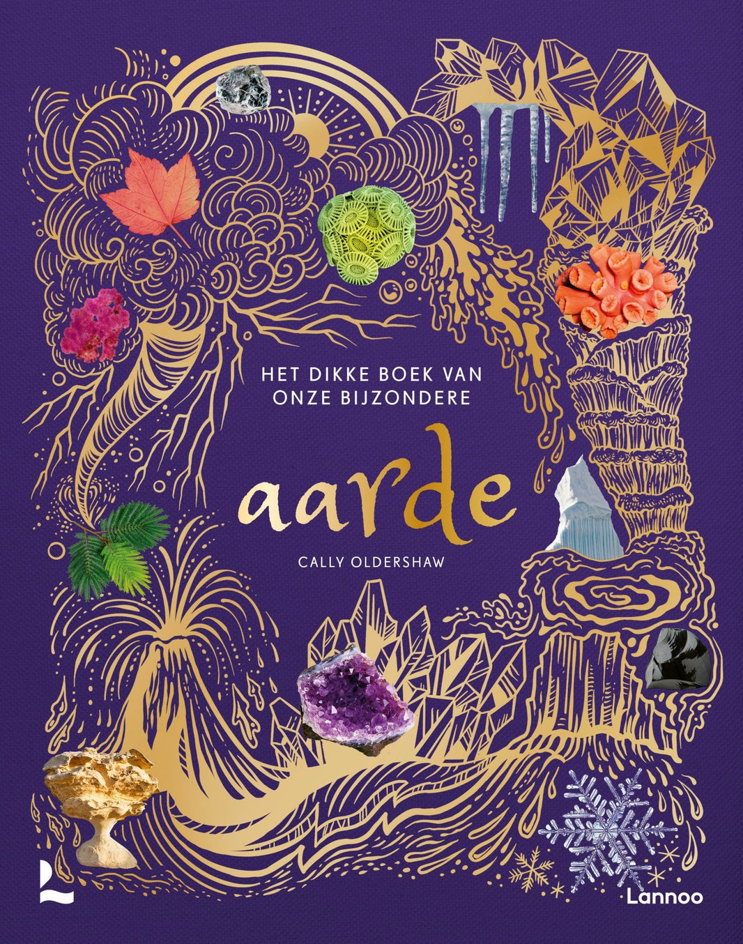 Lannoo - Lannoo - Het dikke boek van onze bijzondere Aarde - Cally Oldershaw - Playlaan