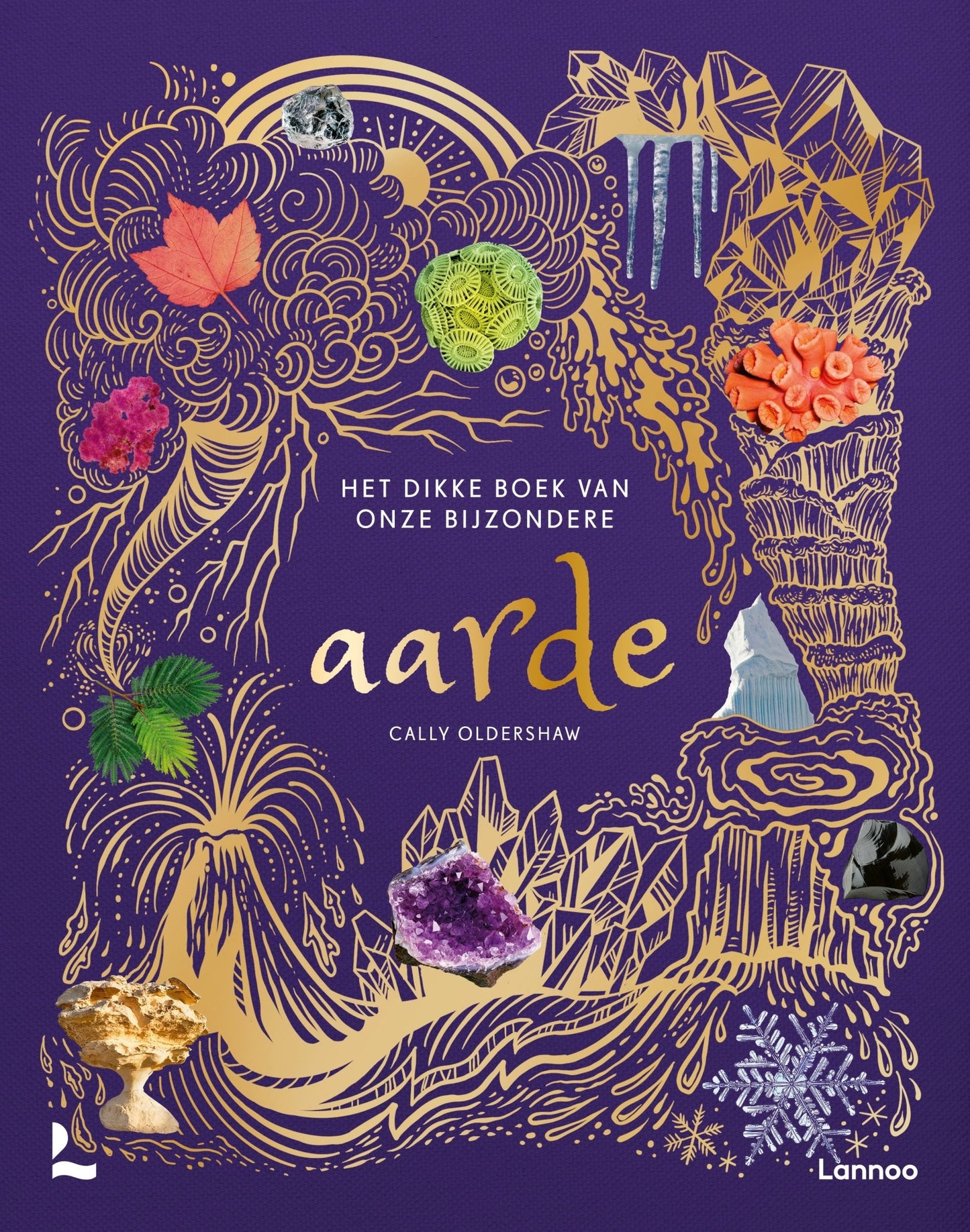 Lannoo - Lannoo - Het dikke boek van onze bijzondere Aarde - Cally Oldershaw - Playlaan