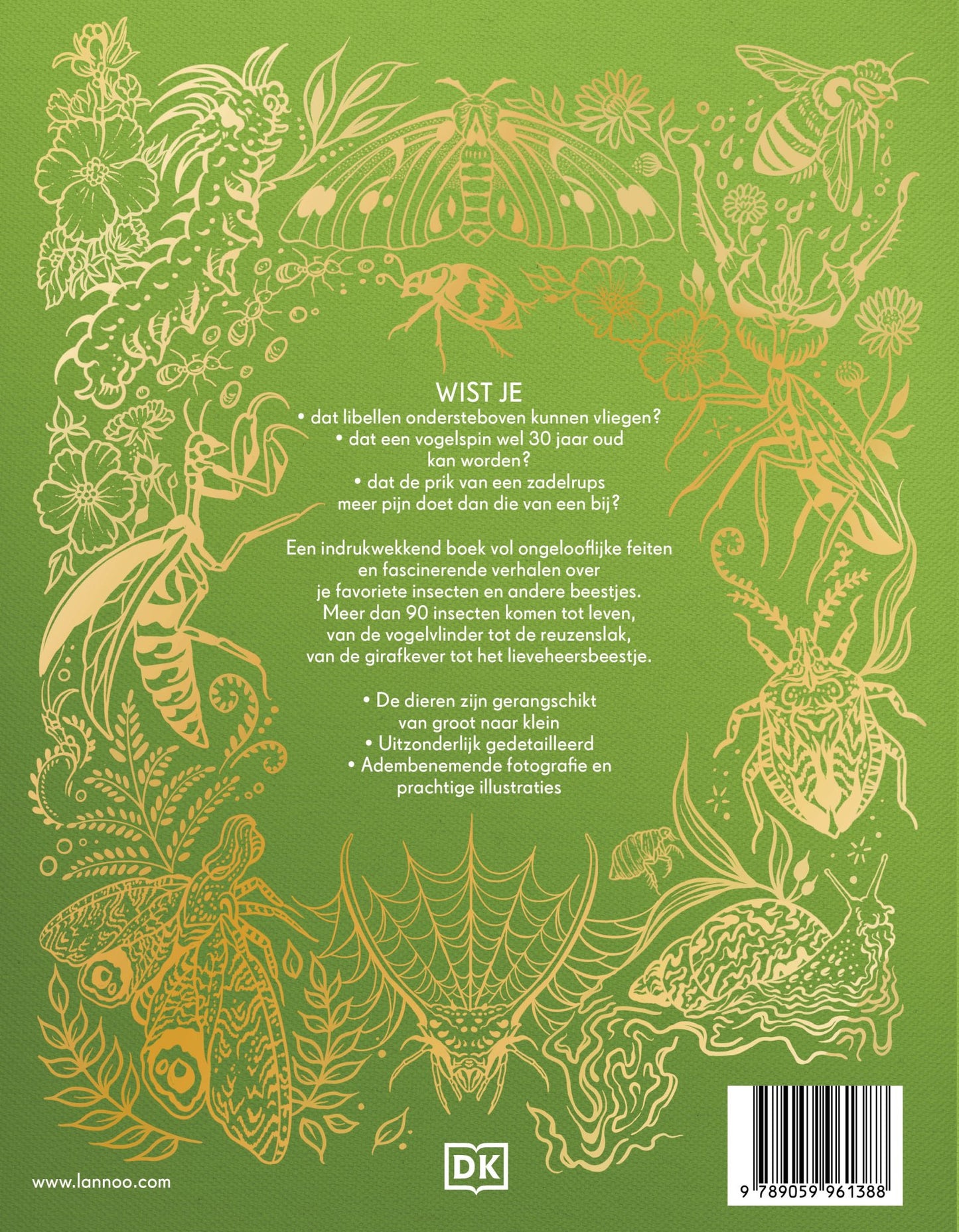 Lannoo - Lannoo - Het dikke boek van onze bijzondere Insecten - Jess French - Playlaan