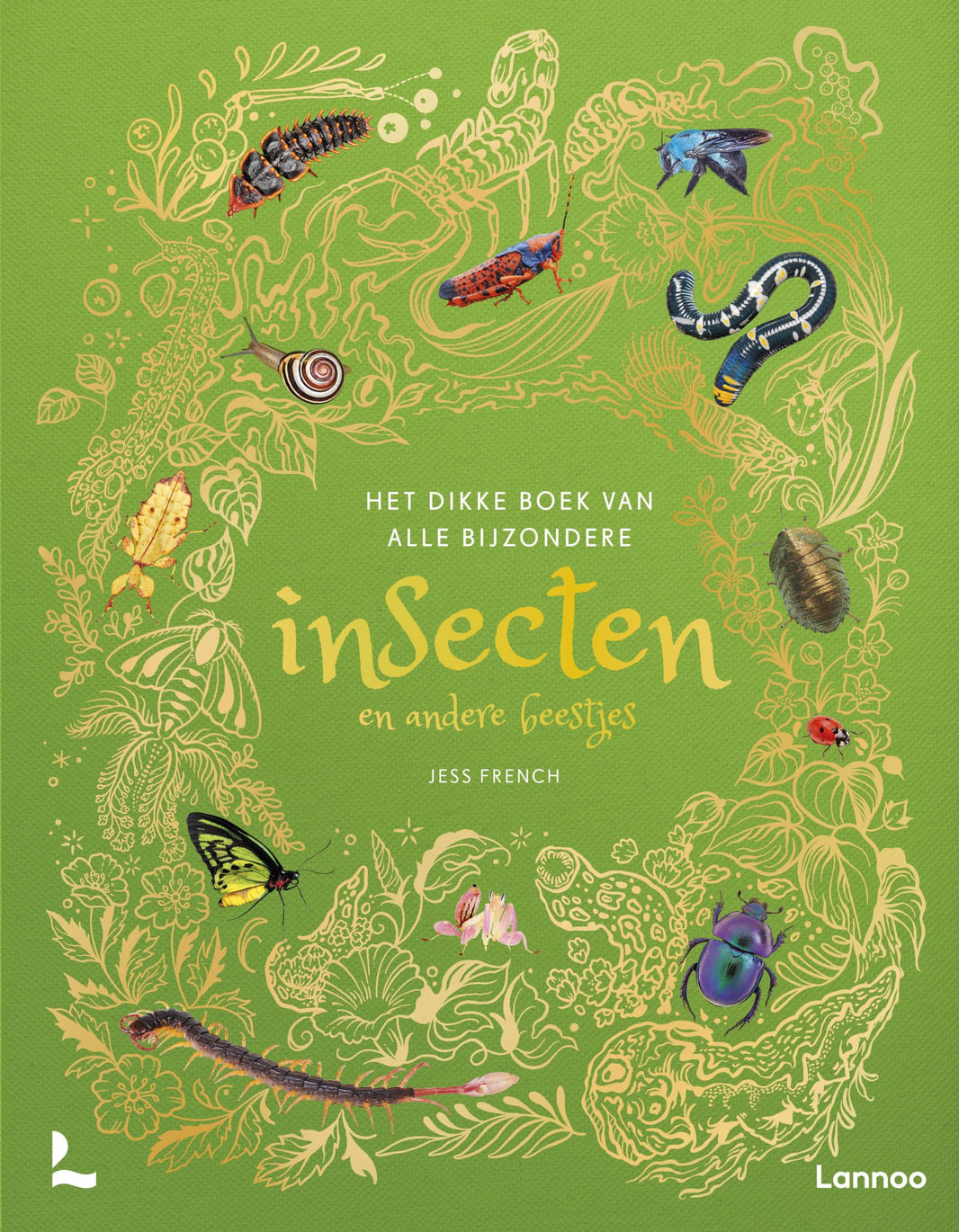 Lannoo - Lannoo - Het dikke boek van onze bijzondere Insecten - Jess French - Playlaan