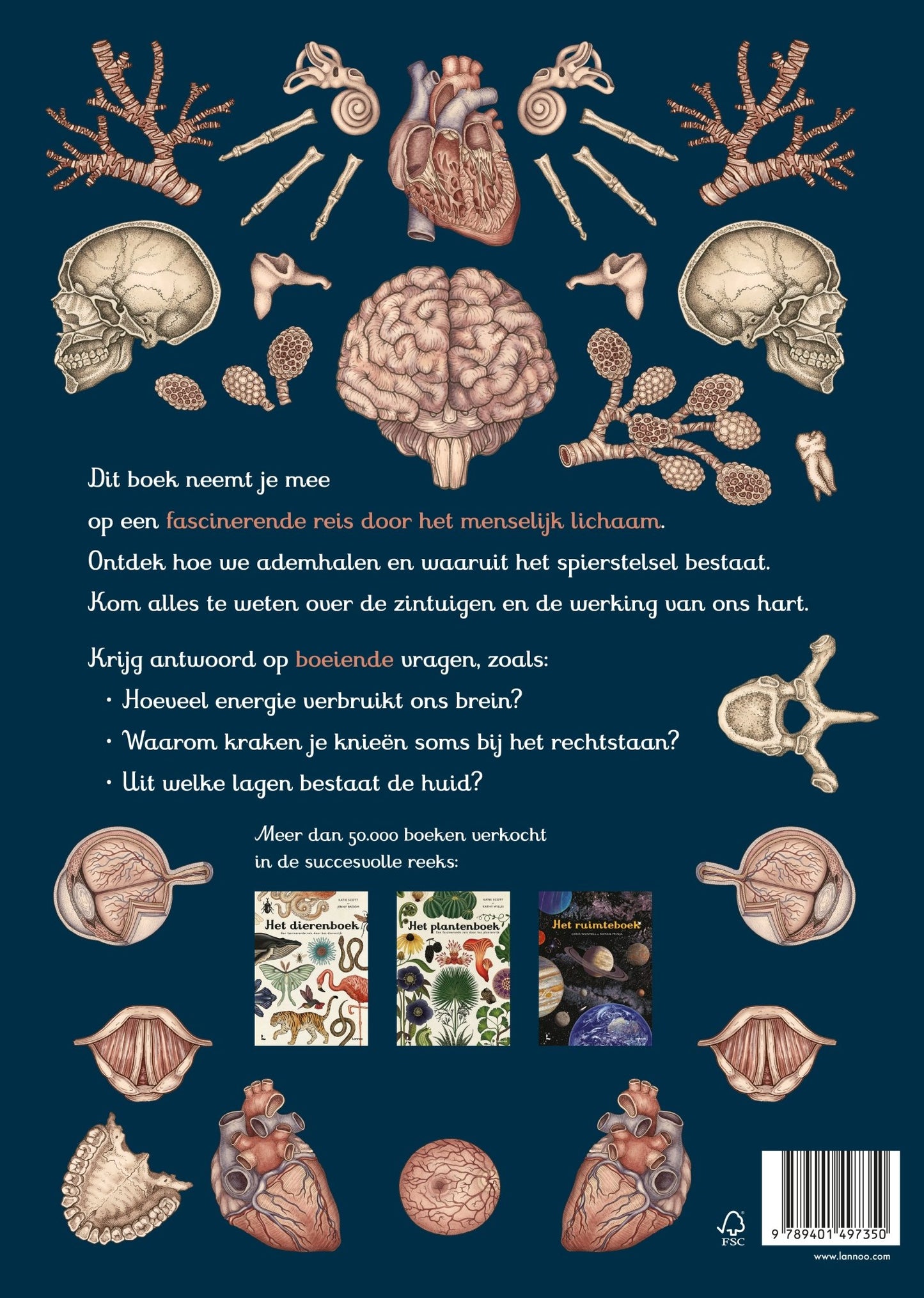 Lannoo - Lannoo - Het mooiste boek van het menselijk lichaam - Katy Wiedemann, Jennifer Z. Paxton - Playlaan
