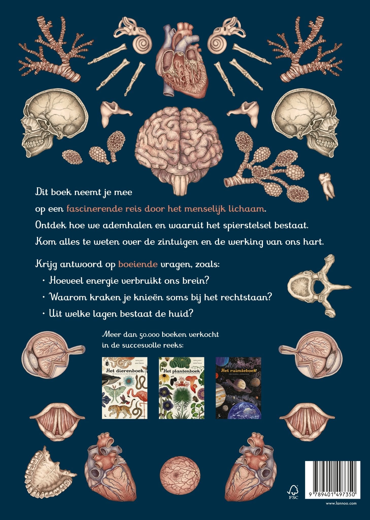 Lannoo - Lannoo - Het mooiste boek van het menselijk lichaam - Katy Wiedemann, Jennifer Z. Paxton - Playlaan