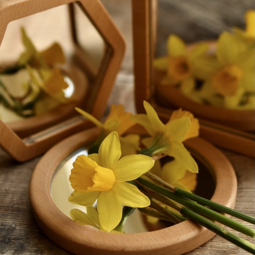 Learn Well - Learn Well - Little Looking Shape Mirrors - Playlaan