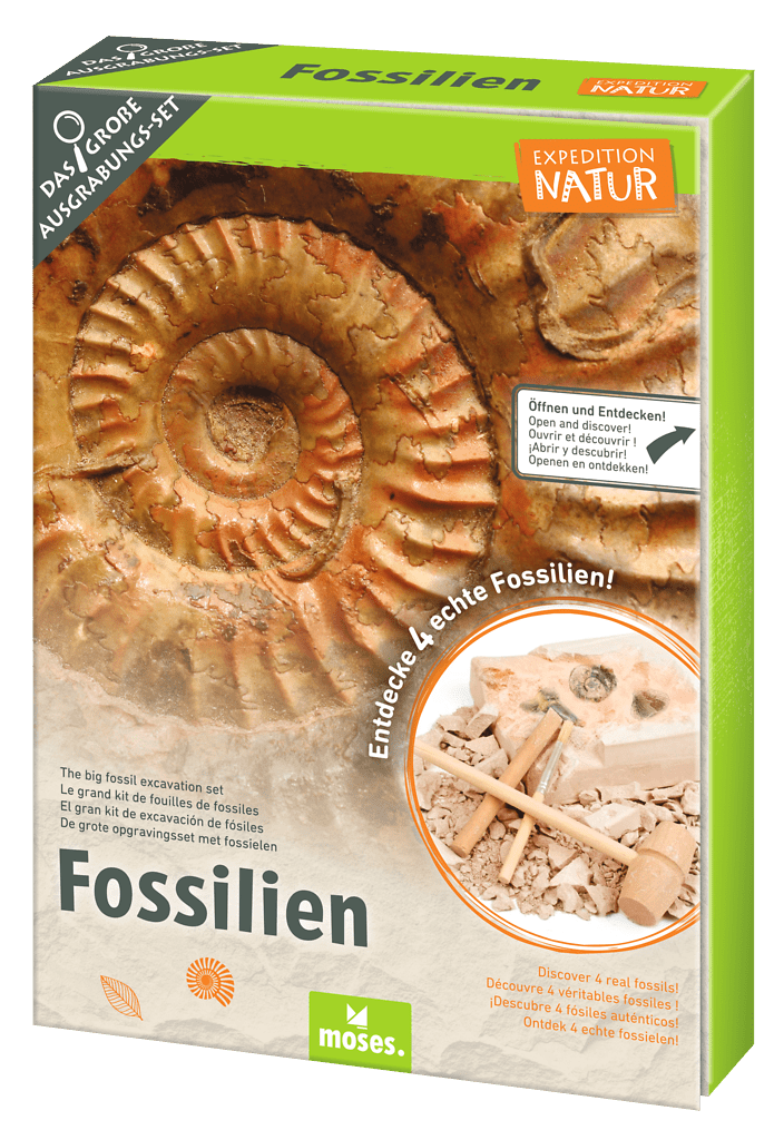 Moses verlag - Moses - Expeditie natuur uithakset - fossielen - Playlaan