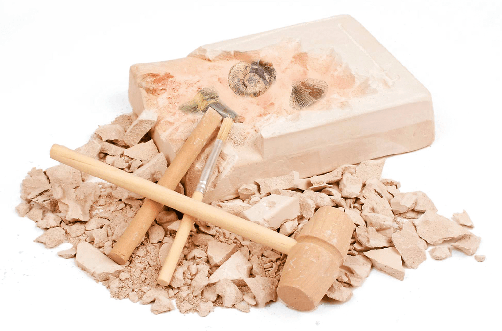 Moses verlag - Moses - Expeditie natuur uithakset - fossielen - Playlaan