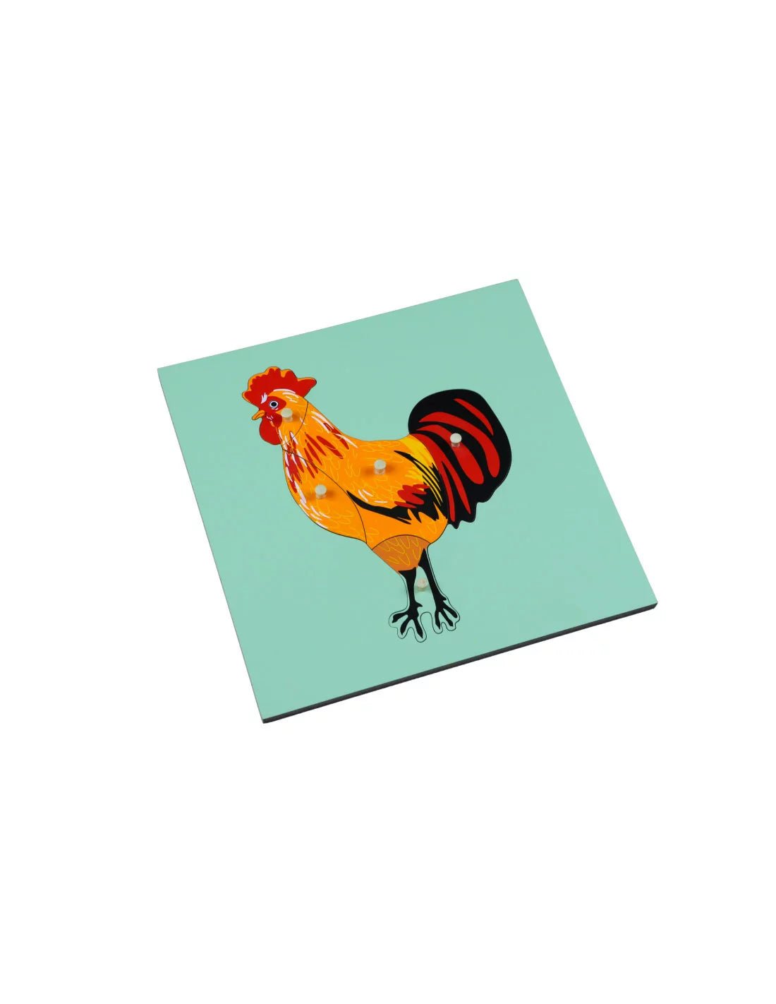 Moyo Montessori - Montessori puzzel - Haan - Playlaan