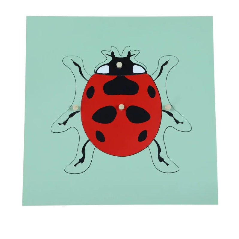 Moyo Montessori - Montessori puzzel - Lieveheersbeestje - Playlaan