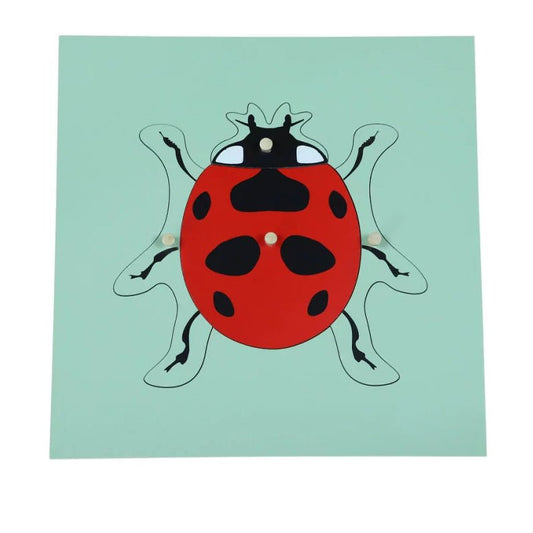 Moyo Montessori - Montessori puzzel - Lieveheersbeestje - Playlaan