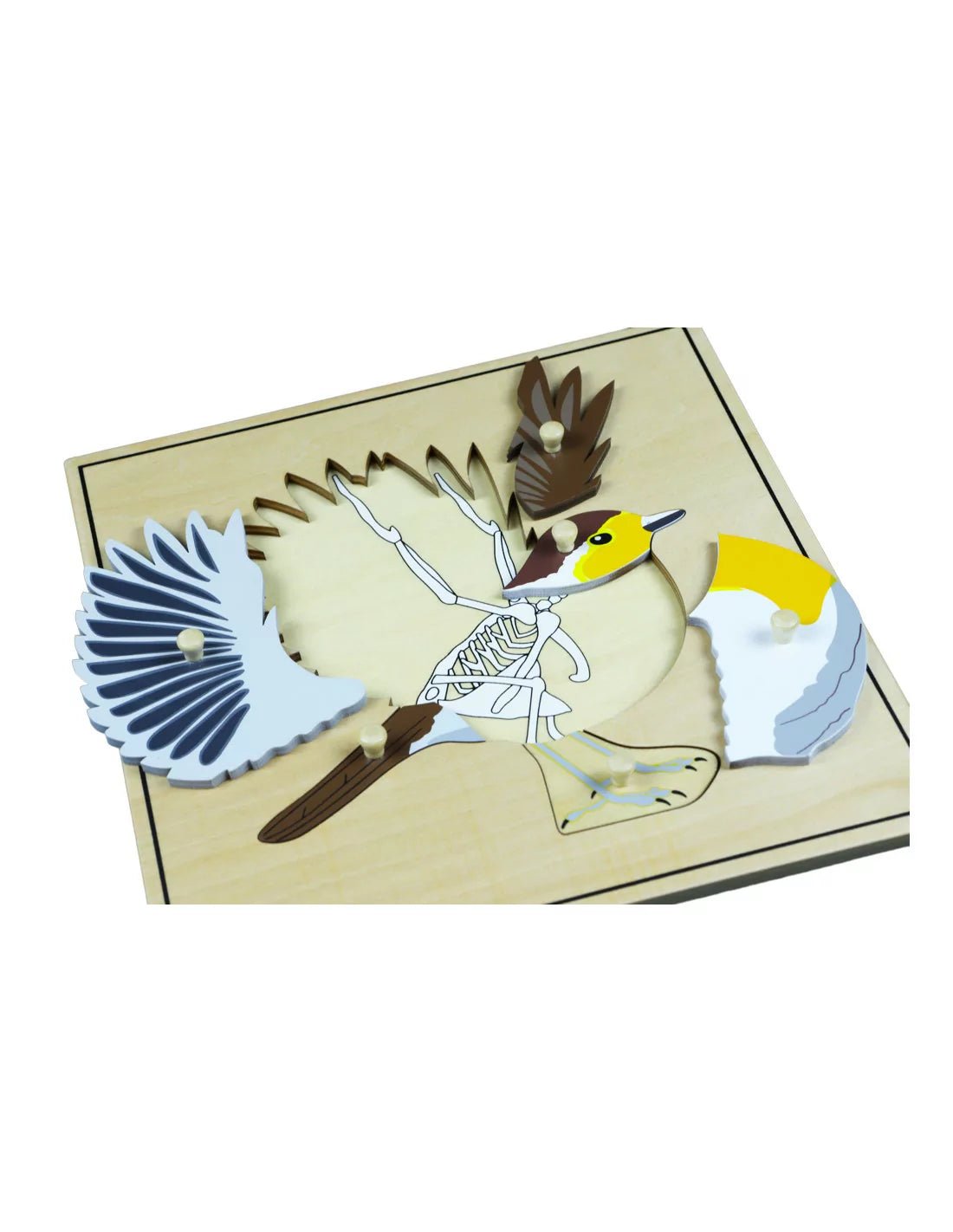 Moyo Montessori - Montessori puzzel - Vogel - Playlaan