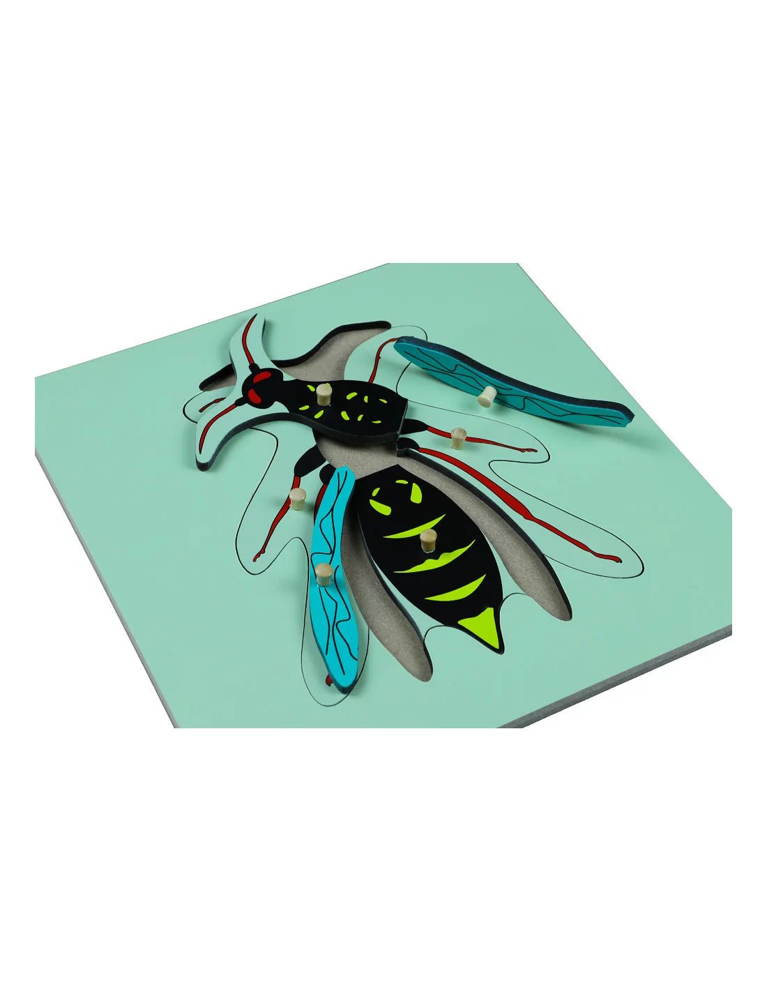 Moyo Montessori - Montessori puzzel - Wesp - Playlaan