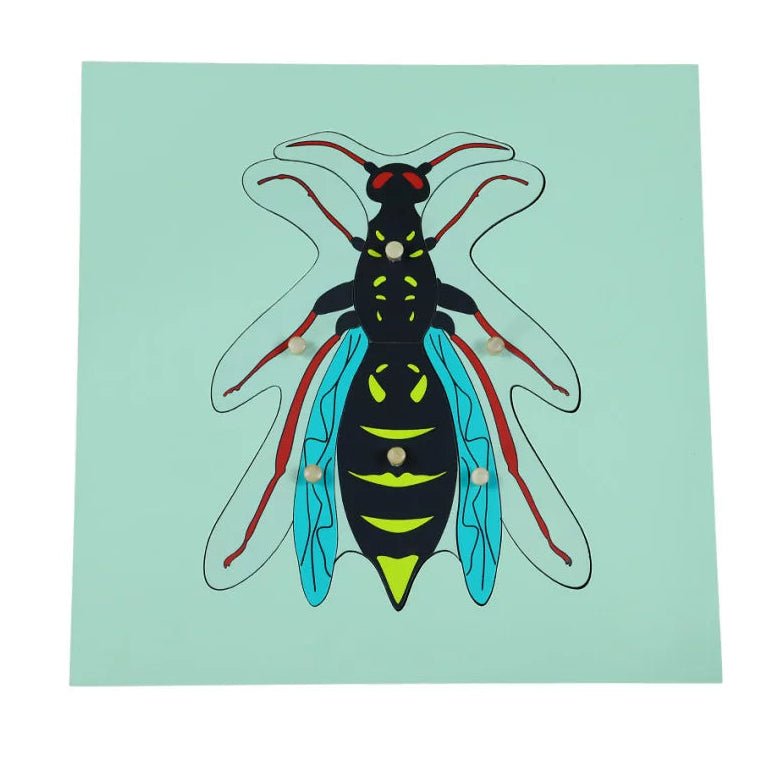 Moyo Montessori - Montessori puzzel - Wesp - Playlaan