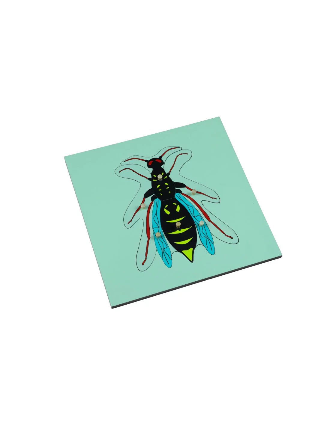 Moyo Montessori - Montessori puzzel - Wesp - Playlaan