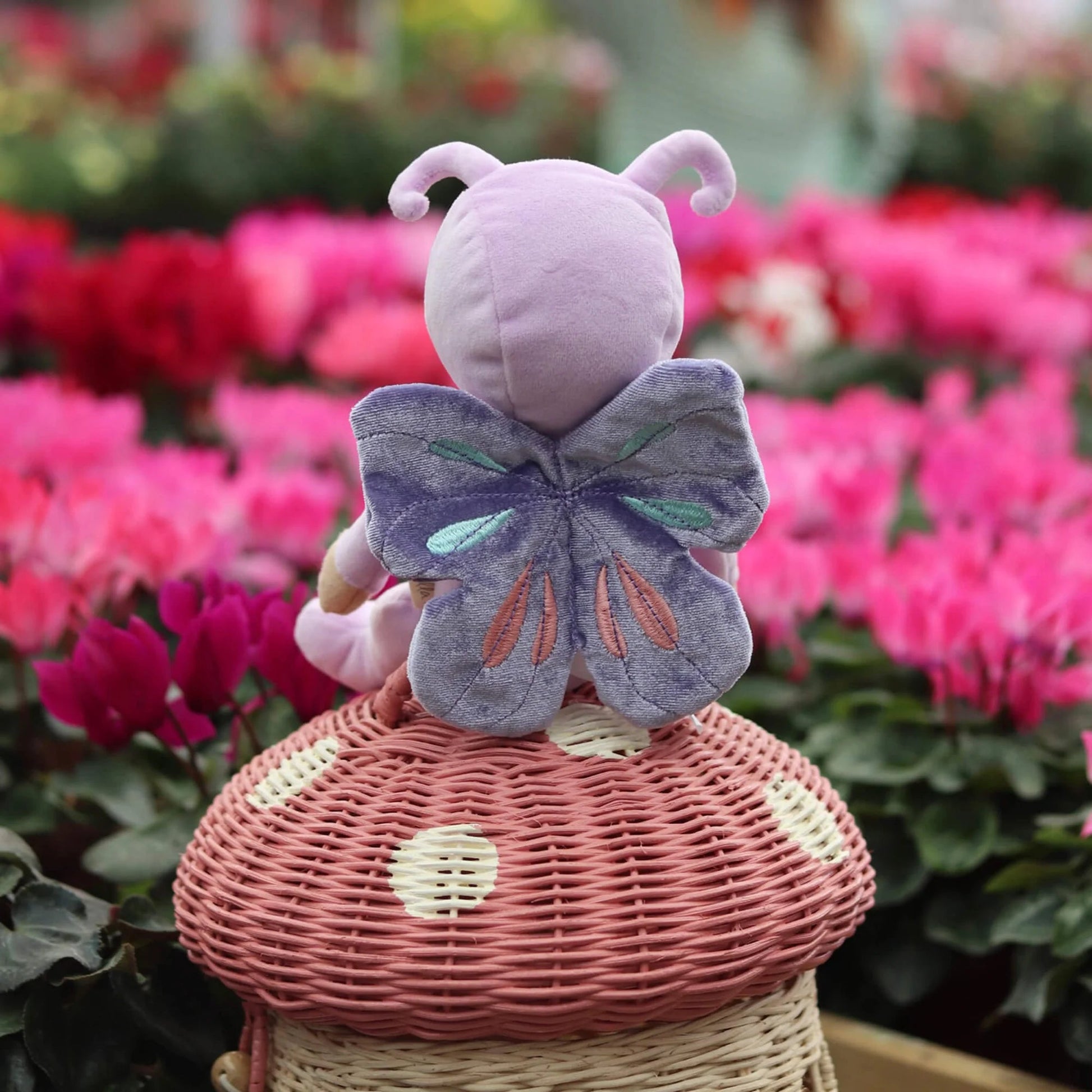 Olli Ella - Olli Ella - Backyard Buddies - Pop Betty Butterfly - Playlaan