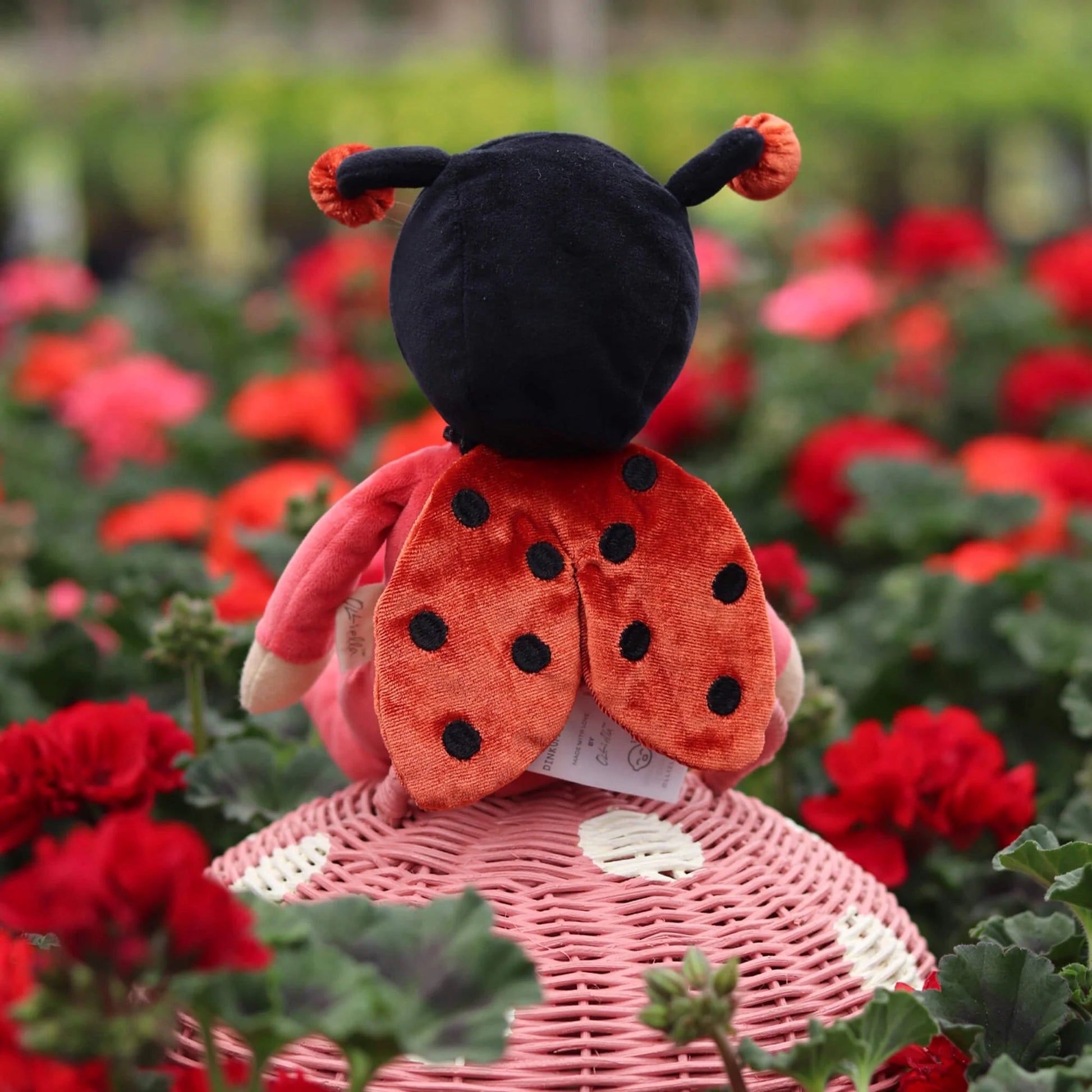 Olli Ella - Olli Ella - Backyard Buddies - Pop Lola Ladybug - Playlaan