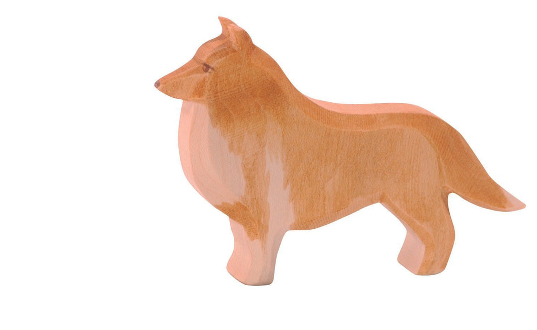 Ostheimer - Collie - Playlaan