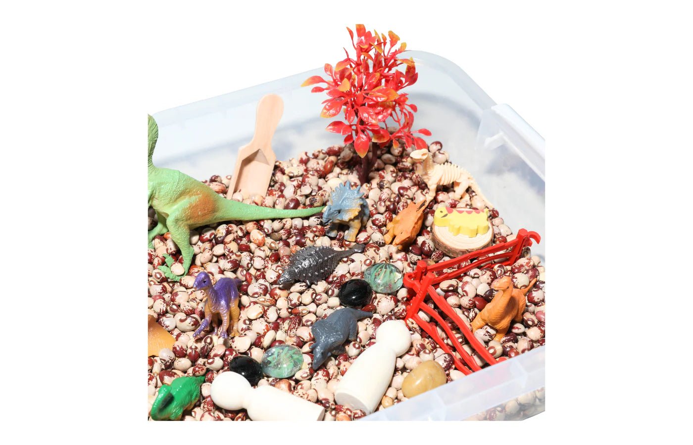 PlaySo - Sensory Play Tray - dinosaurussen - bonen - PlaySo - Playlaan
