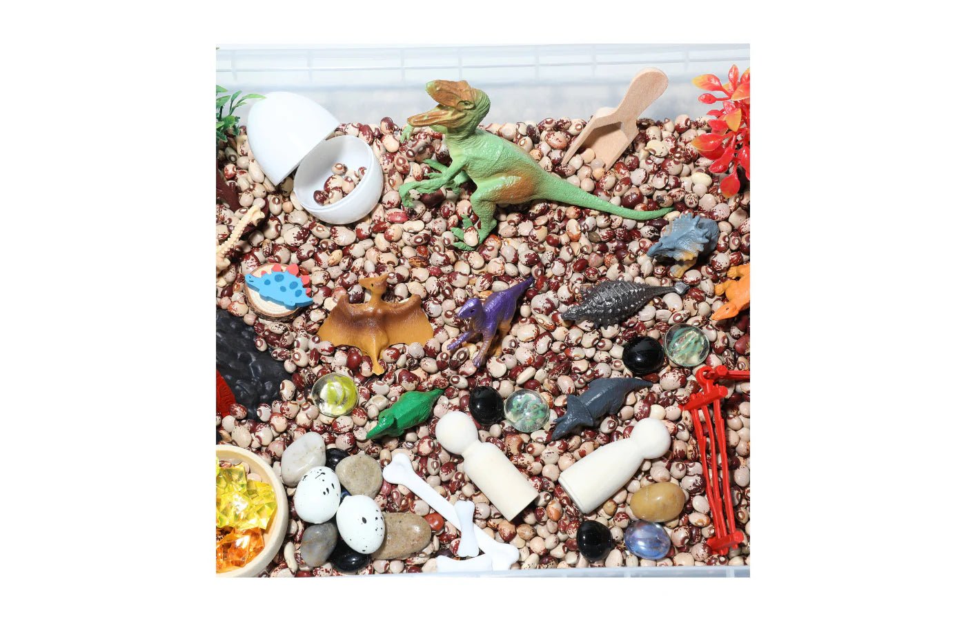 PlaySo - Sensory Play Tray - dinosaurussen - bonen - PlaySo - Playlaan