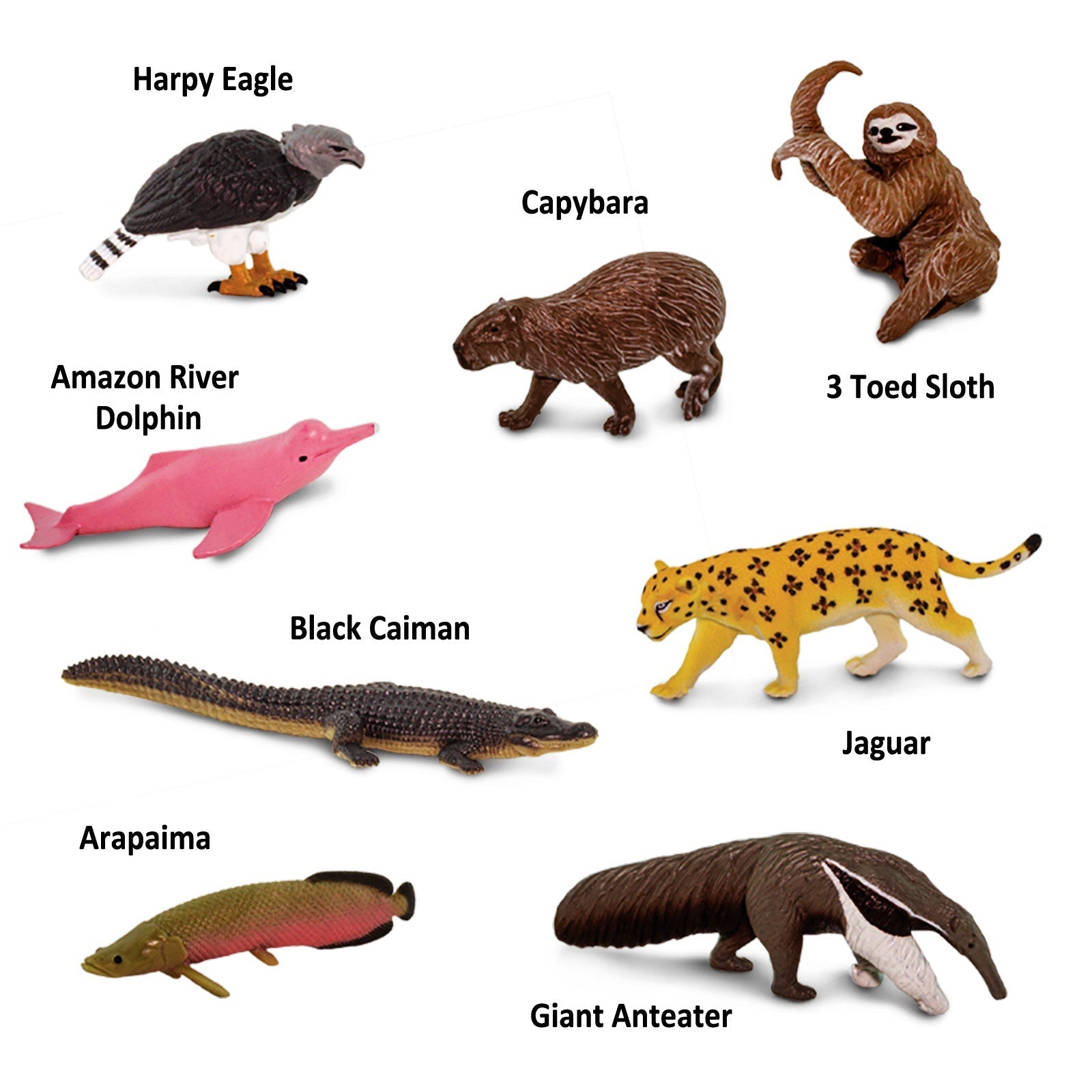 Safari Ltd - Safari Ltd - Speelfiguren TOOB - Zuid-Amerikaanse dieren - Playlaan