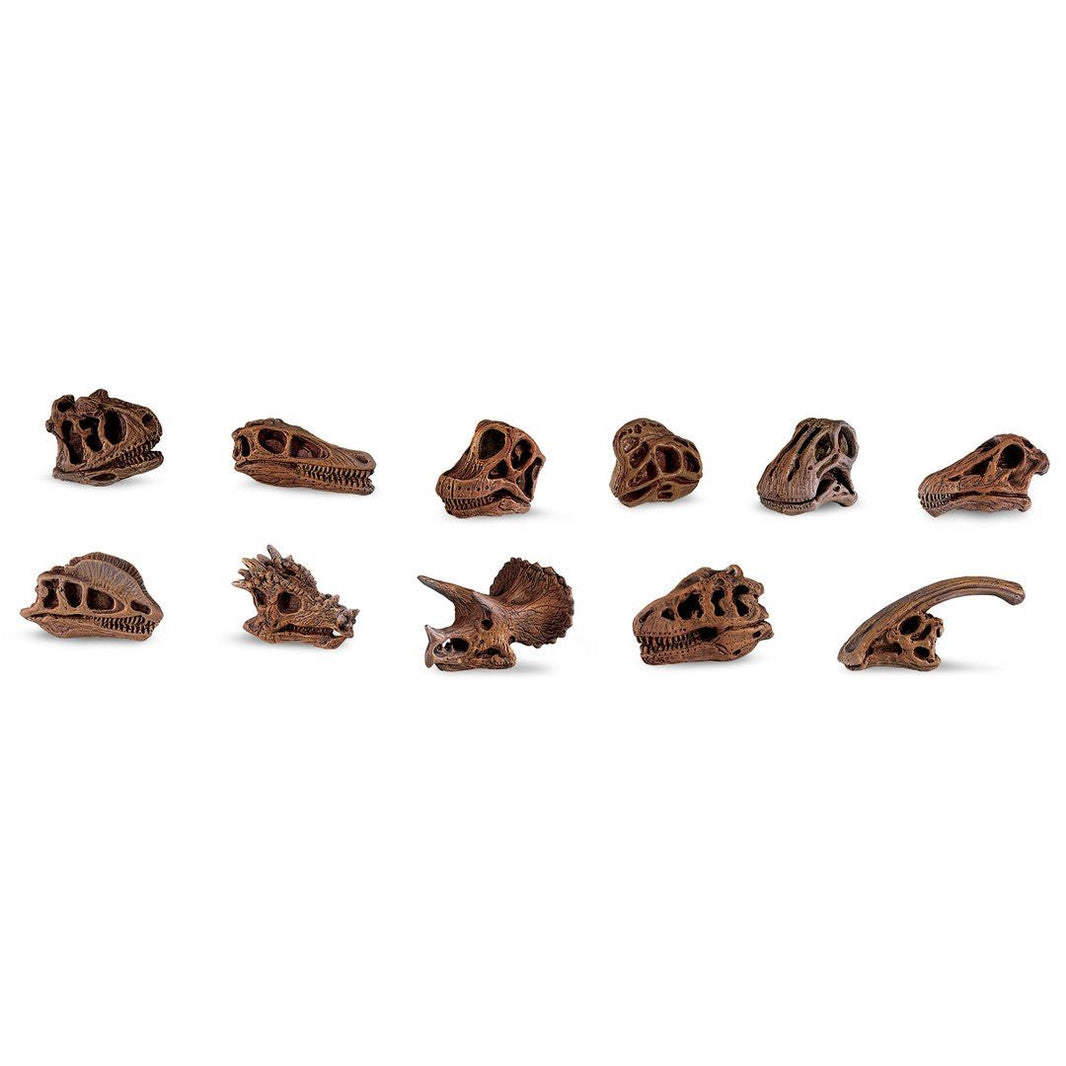 Safari Ltd - Speelfiguren TOOB® - Dinosaur Skulls - Playlaan