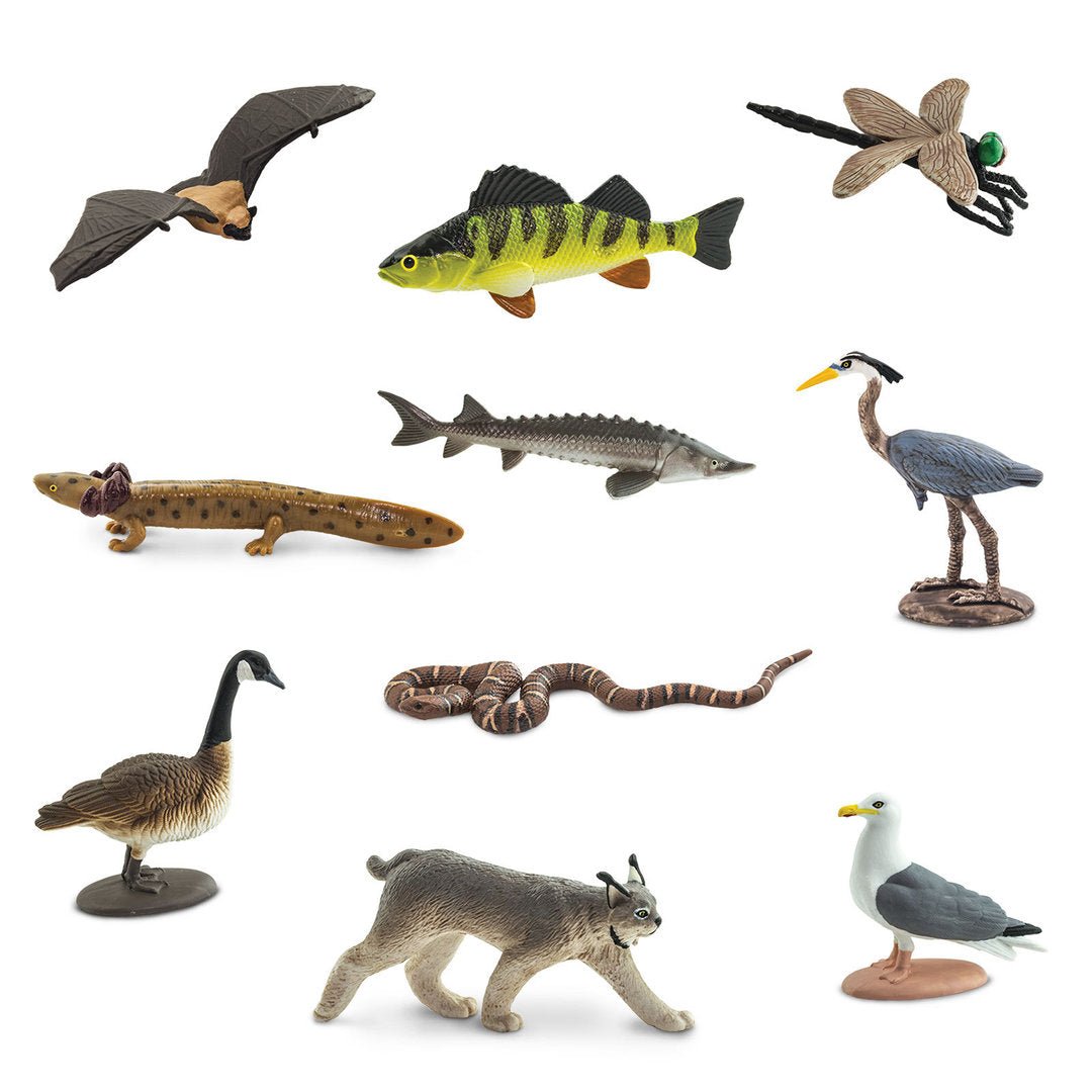 Safari Ltd - Speelfiguren TOOB® - Great Lakes - Playlaan