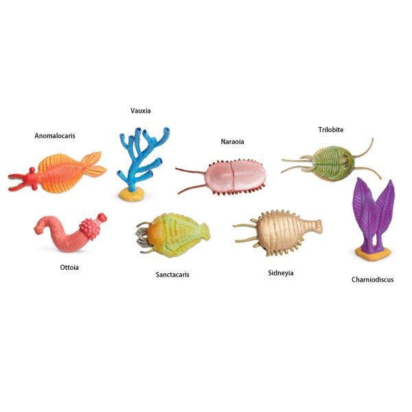 Safari Ltd - Speelfiguren TOOB® - Wezens van het Cambrium - Playlaan