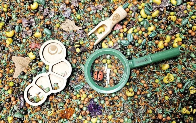 SensoryFun - SensoryFun - PourAndPlay BackyardBugs set - Playlaan