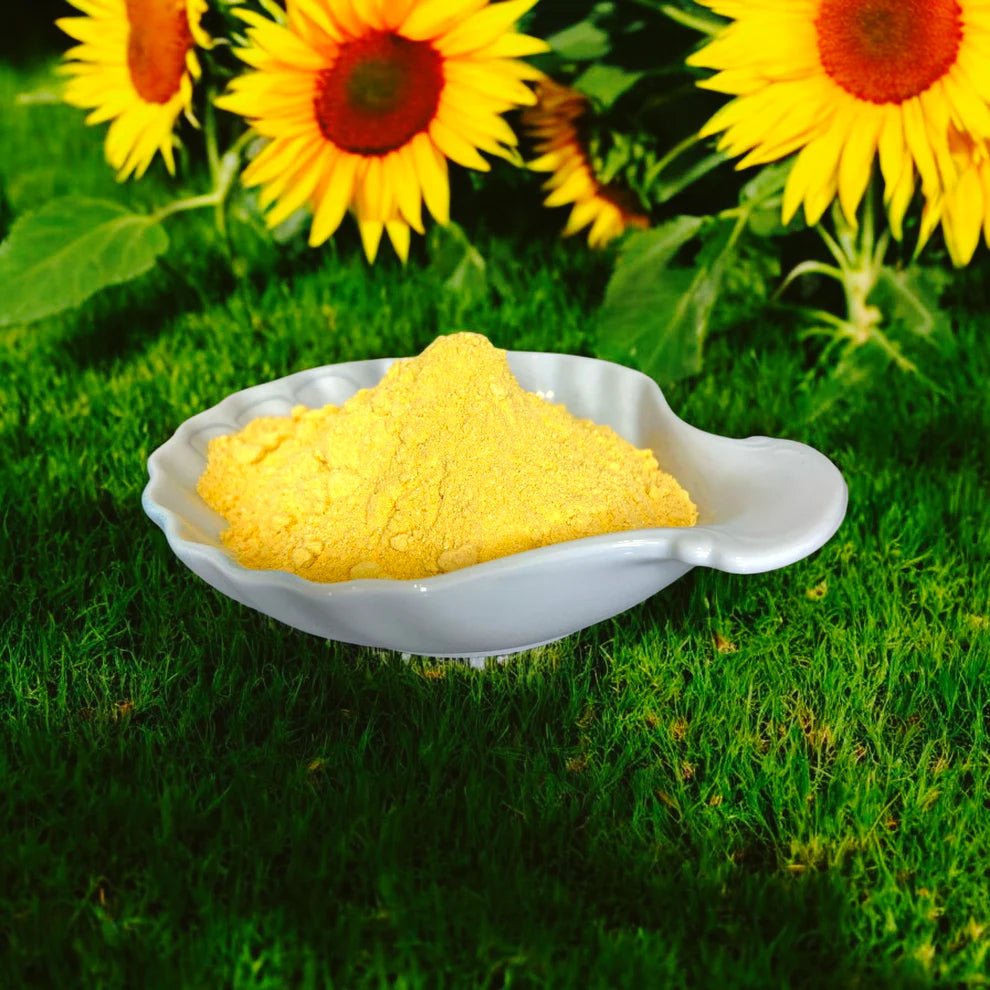 Sensus Lotus - Sensus Lotus - Sunshine yellow 30gr - Playlaan