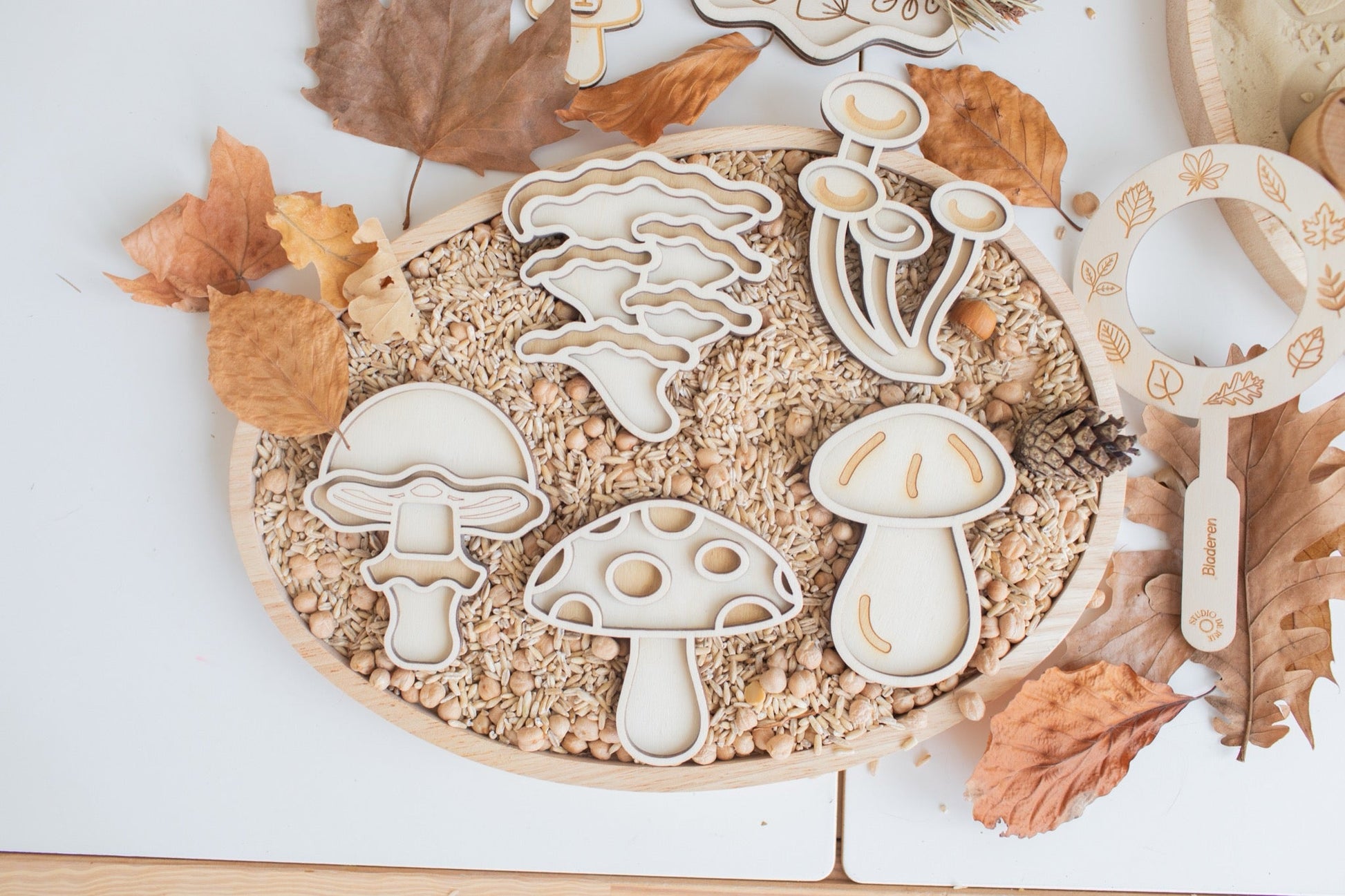 Studio de Rijk - Studio de Rijk - Vulvormen speeltray set - Paddestoelen - Playlaan