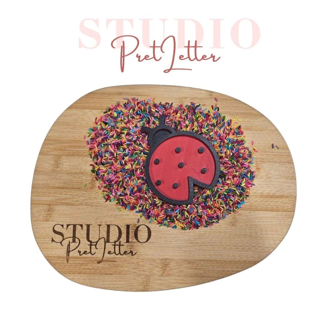 Studio Pretletter - Studio Pretletter - Vulvorm PLA insecten set (12cm) - Playlaan